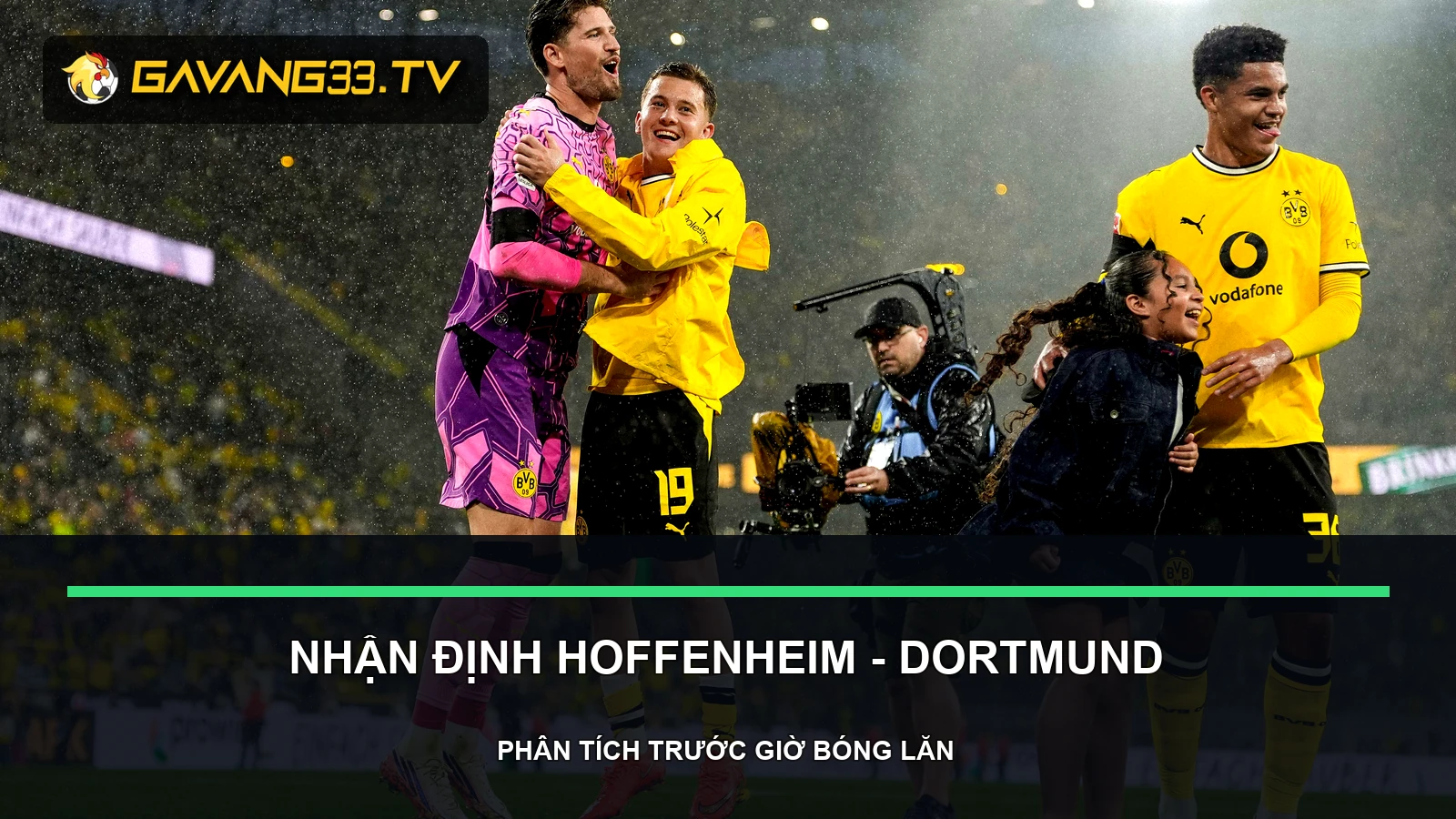 nhận định Hoffenheim vs Borussia Dortmund - ảnh tư liệu đội bóng